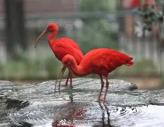 关于誁?!汔-米兰在线入口